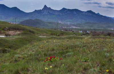 Прикрепленное изображение: IMG_4432.jpg